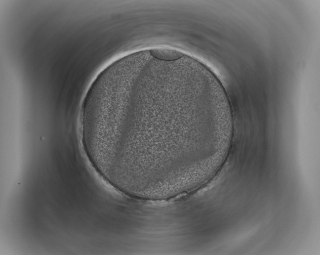 X0000111871526200908061244