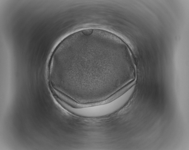 X0000111871527200908061244