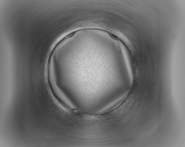 X0000111871528200908061244