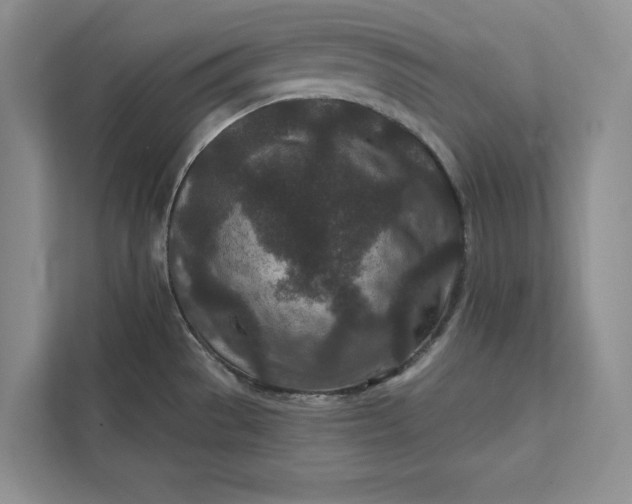 X0000111871529200908061244