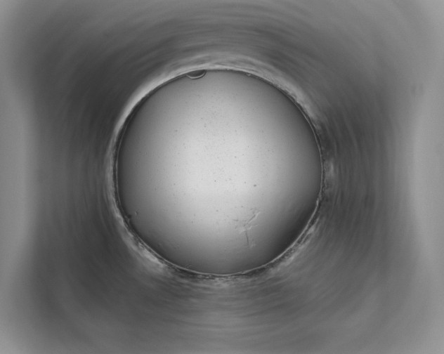 X0000111871530200908061244