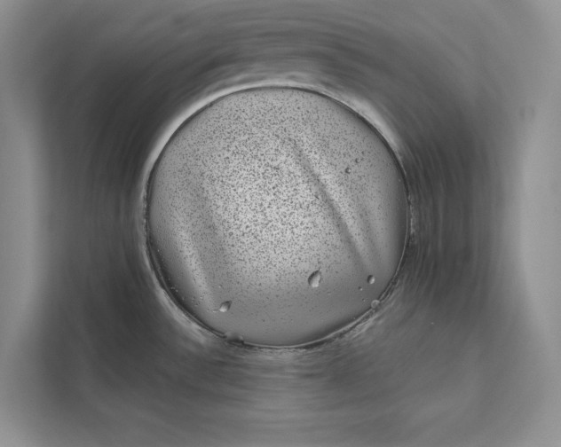 X0000111871532200908061244