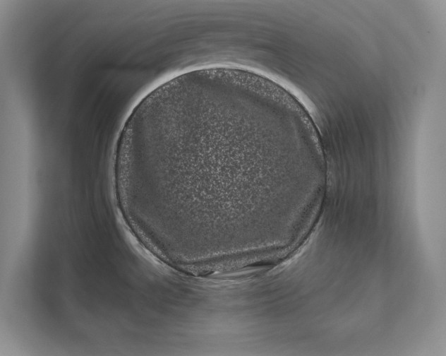 X0000111871534200908061244