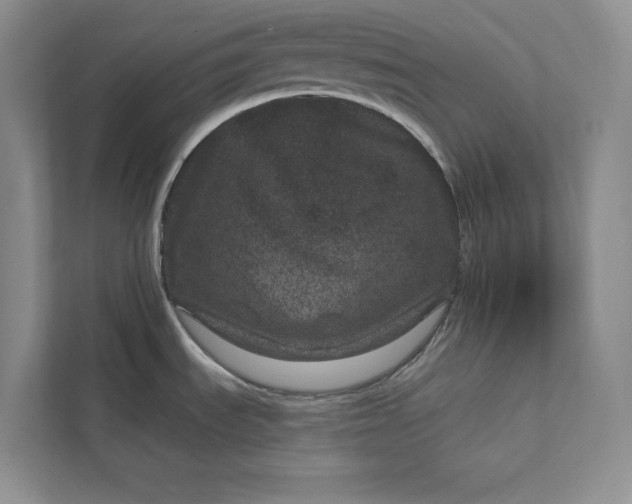 X0000111871535200908061244