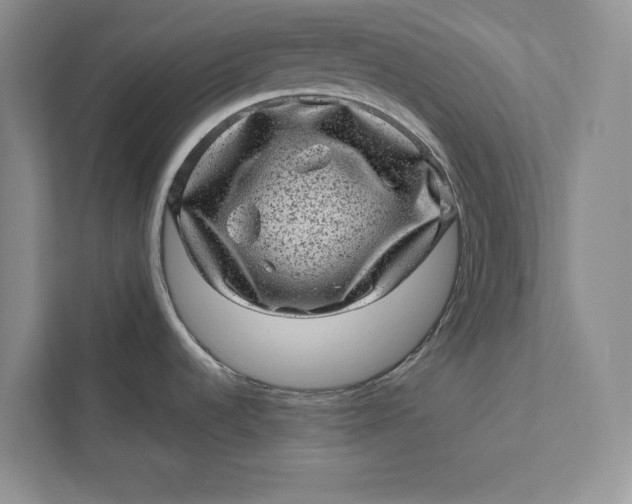 X0000111871536200908061244