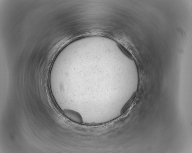 X0000111870001200908131622