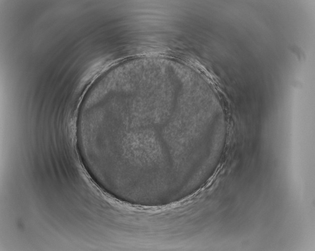 X0000111870002200908131622