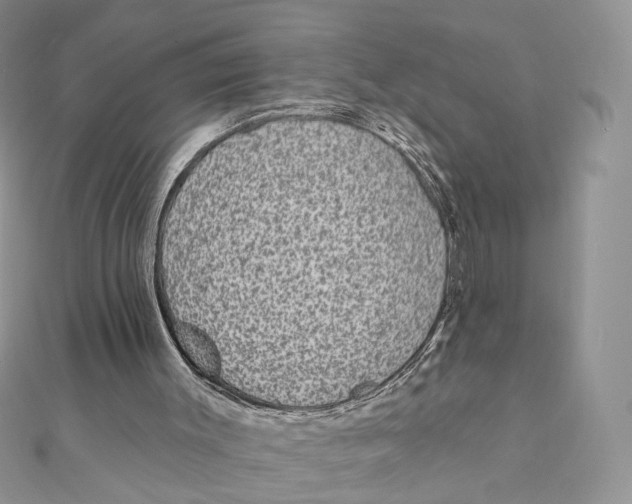 X0000111870003200908131622