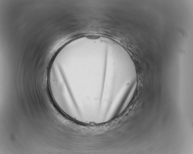 X0000111870005200908131622