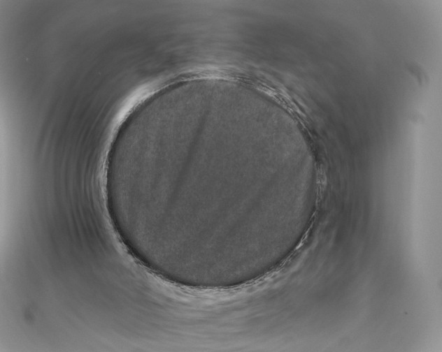 X0000111870006200908131622