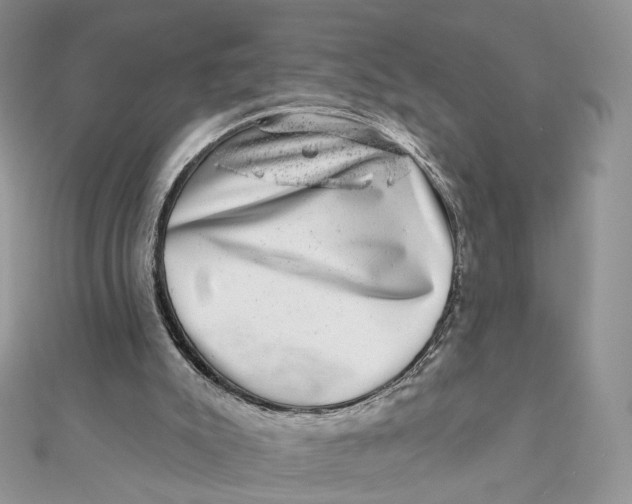 X0000111870007200908131622