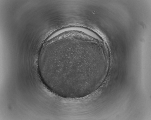 X0000111870009200908131622