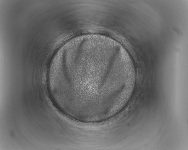 X0000111870010200908131622