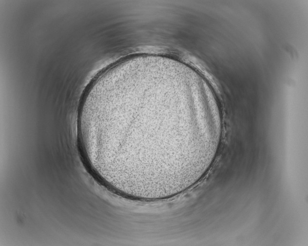 X0000111870011200908131622