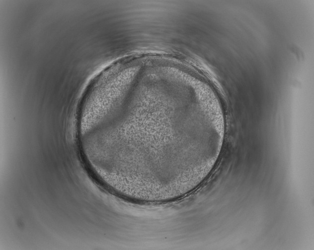 X0000111870012200908131622