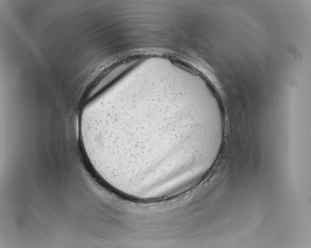 X0000111870013200908131622