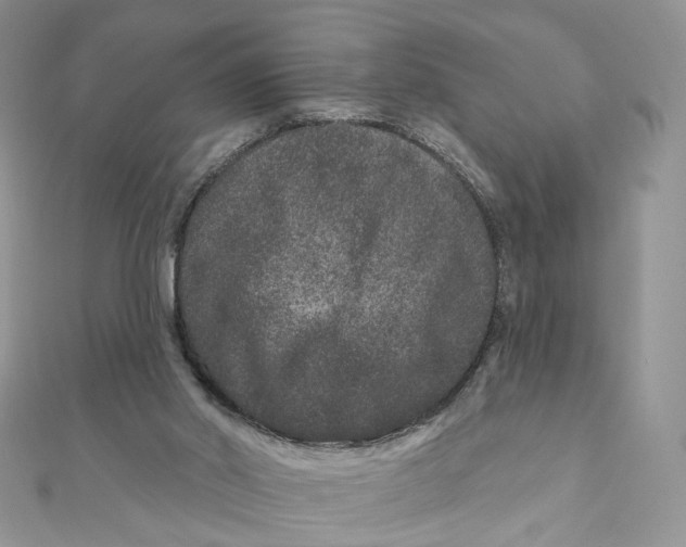 X0000111870014200908131622