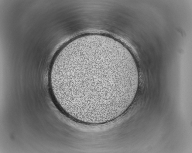 X0000111870015200908131622