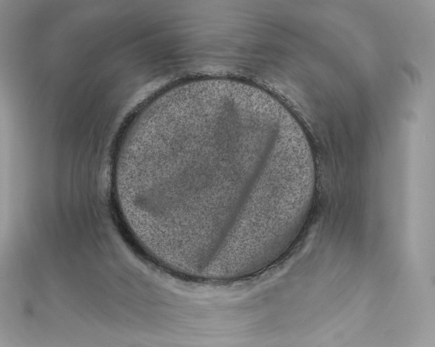 X0000111870016200908131622