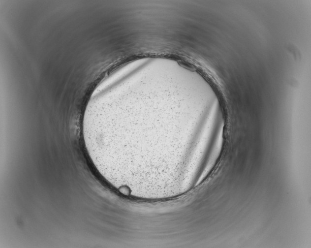 X0000111870017200908131622