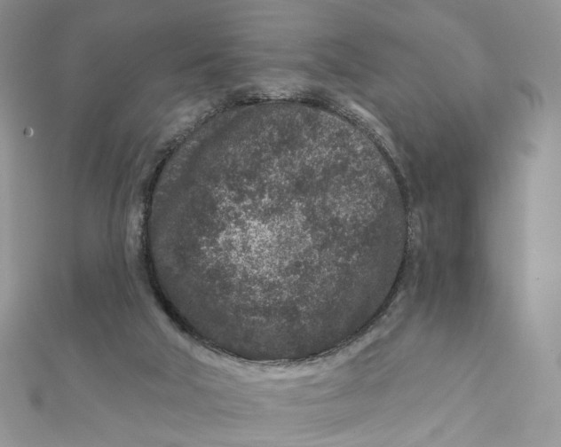 X0000111870018200908131622