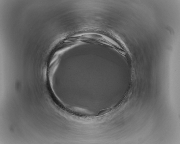 X0000111870019200908131622