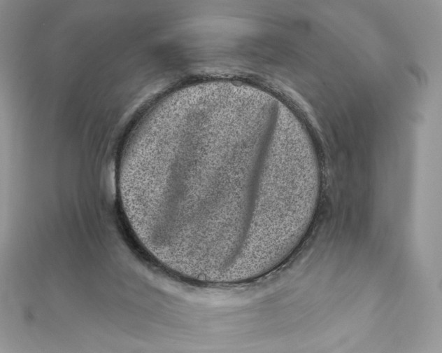 X0000111870020200908131622