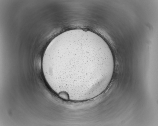 X0000111870021200908131622