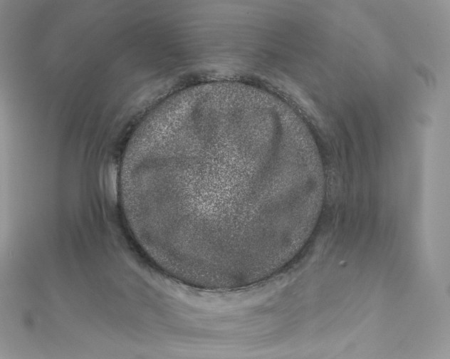 X0000111870022200908131622