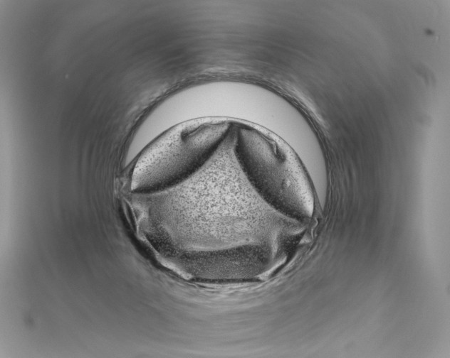 X0000111870023200908131622