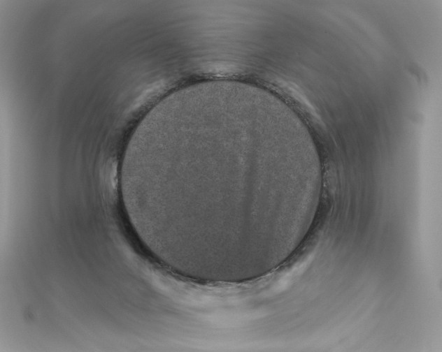 X0000111870024200908131622