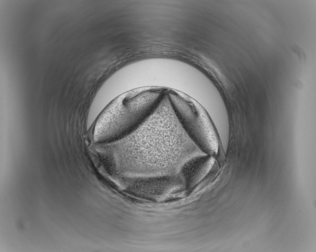 X0000111870025200908131621