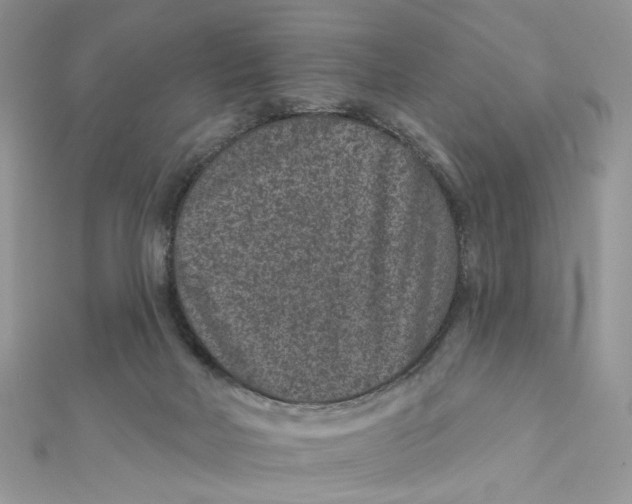 X0000111870026200908131621