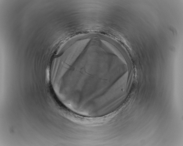 X0000111870027200908131621