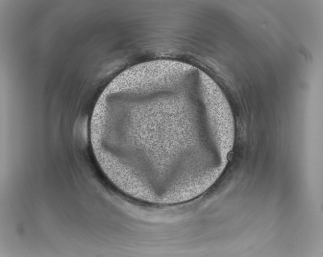 X0000111870028200908131621