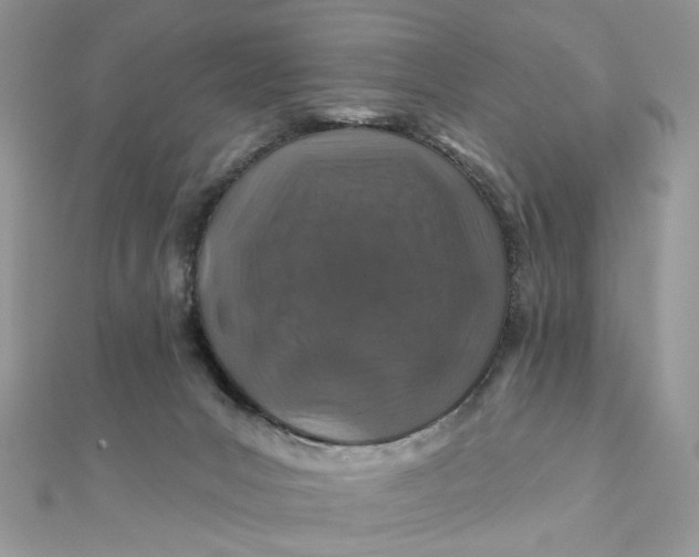 X0000111870031200908131621