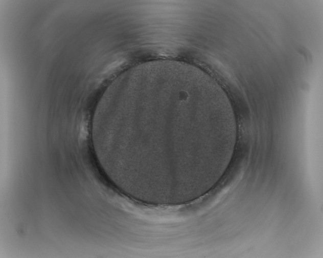 X0000111870032200908131621