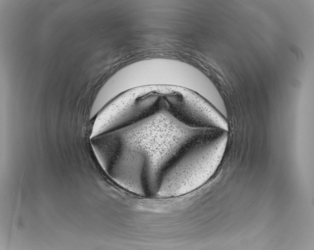 X0000111870033200908131621