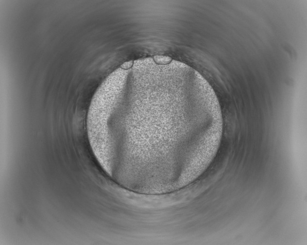 X0000111870034200908131621