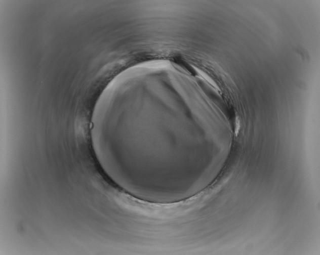 X0000111870035200908131621