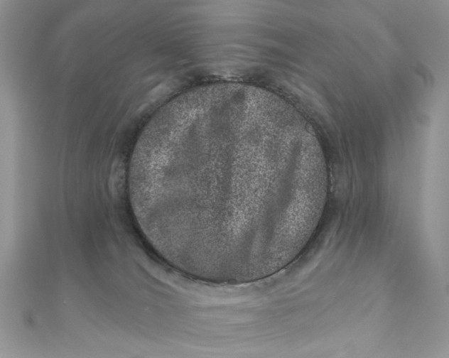 X0000111870036200908131621