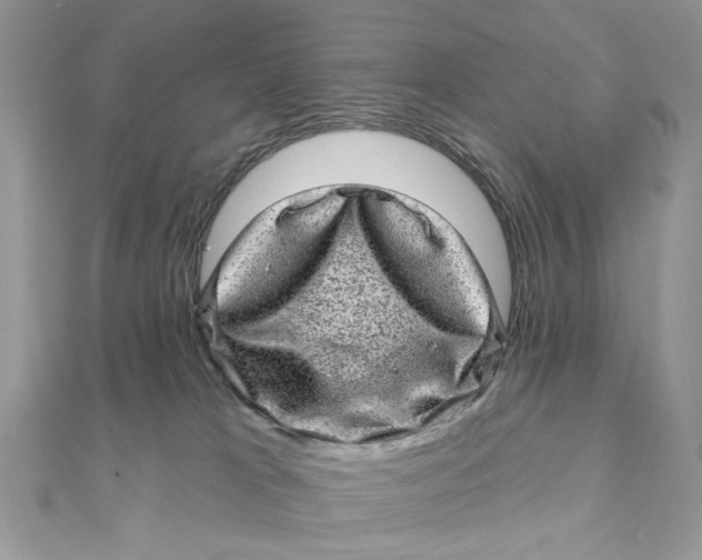 X0000111870037200908131621