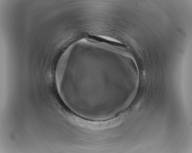 X0000111870039200908131621