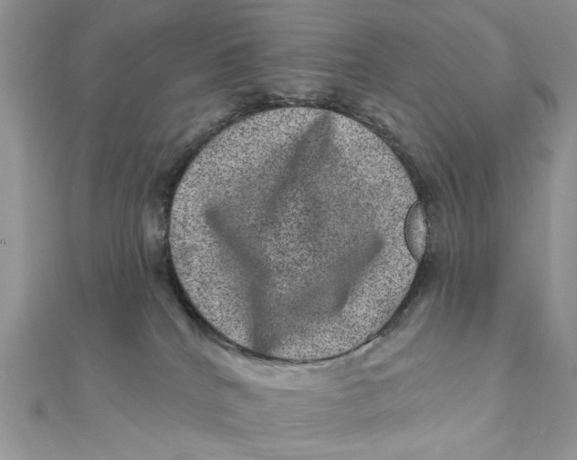 X0000111870040200908131621