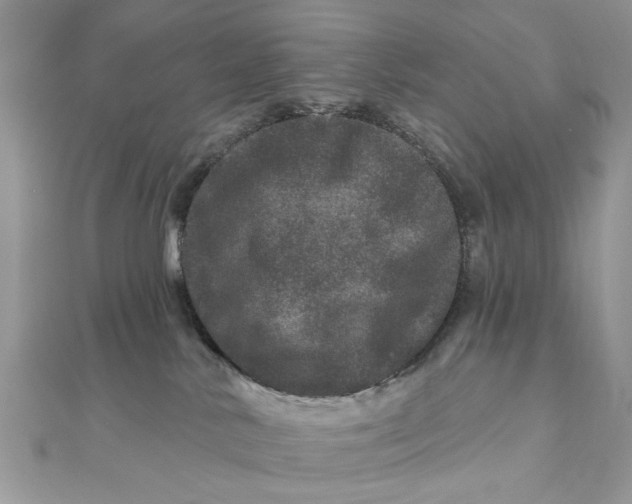 X0000111870042200908131621