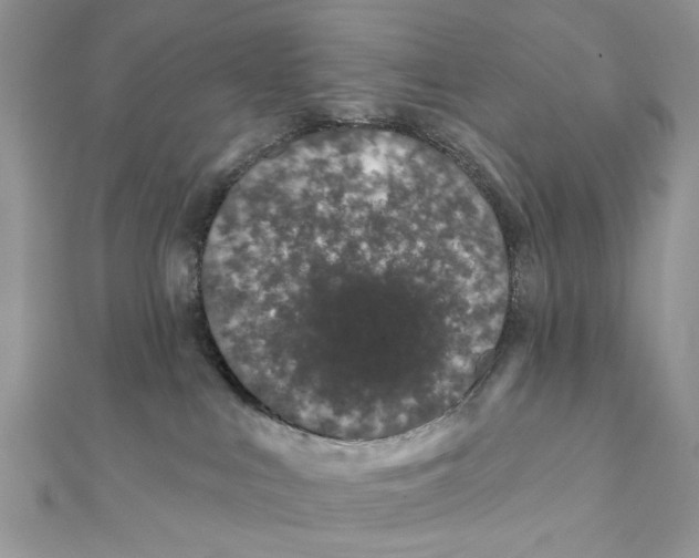 X0000111870043200908131621