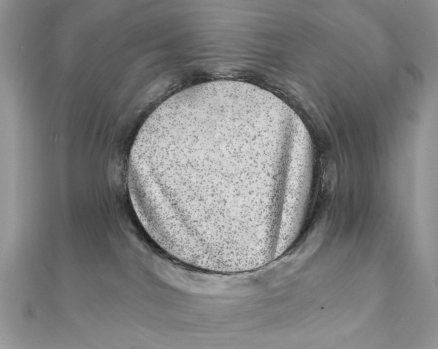 X0000111870044200908131621