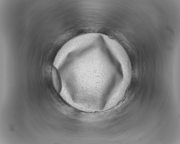 X0000111870045200908131621