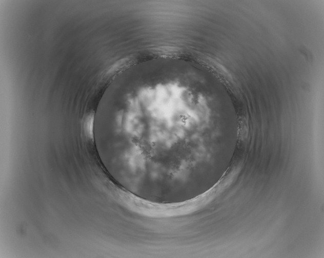 X0000111870047200908131621