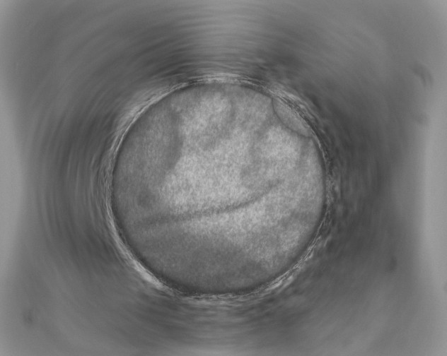 X0000111870049200908131620